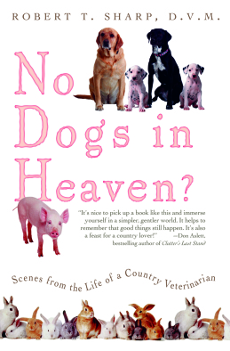 No Dogs in Heaven?