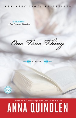 one true thing novel