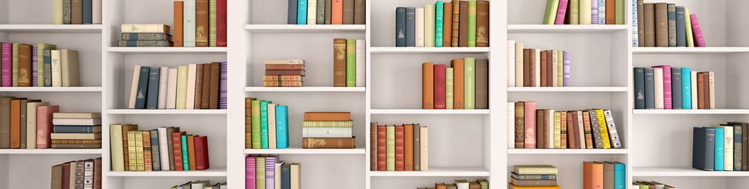 Bright Bookshelves