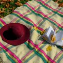 Book and hat on a fall picnic blanket