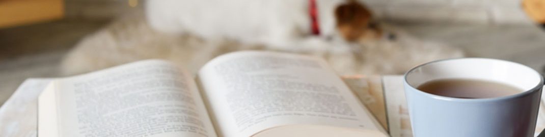 Open book near a fireplace and dog